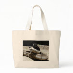 bear,black 2 bags