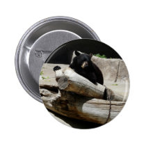 bear,black 2 buttons