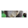 Bear Bumper Stickers