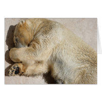 Bear cards by REDINARD Bear cards