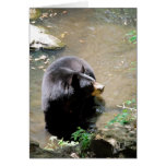 Bear Card