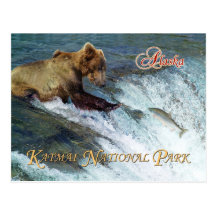 Bear catching salmon, Katmai National Park, AK Postcard