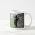 bear cub, bear cubs, bear cub climbing, bear club climbing a tree, bears climbing, bears climbing trees, young bear cub, baby bear cub, playful bear cub, playful bear baby, bear baby, bear babies, adorable bear baby, cute bear cub, adorable bear cub, adorable bear cubs, protecting bears, saving bears, bear wildlife refuge, bear wildlife preserve, newborn baby bear, infant bear, infant baby bear, infant baby bears, young baby bear, lovable baby bear, lovable bear, bear tour, bear tours