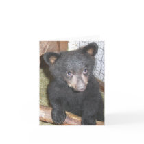 Bear Cub Note Card