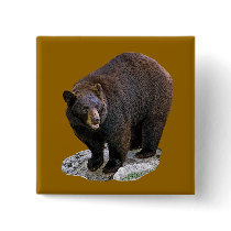 Bear Drawing Gift buttons