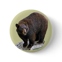 Bear Drawing Gift buttons