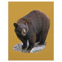 Bear Drawing Gift letterhead
