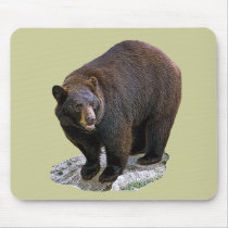 Bear Drawing Gift mousepads