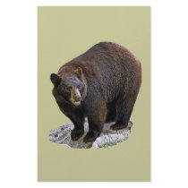 Bear Drawing Gift stationery by kphotos Bear Drawing Gift stationery