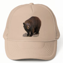 Bear Drawing Hat