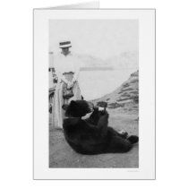 Bear Drinking In Alaska 1910 cards by lc_alaska Bear Drinking In Alaska 1910 cards