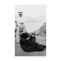 Bear Drinking In Alaska 1910 posters