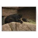 Bear eating fish cards by robbynnoel Bear eating fish cards