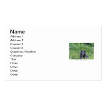 Bear Eating His Veggies Business Card Template