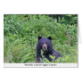 Bear Eating His Veggies Cards