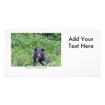 Bear Eating His Veggies Customized Photo Card