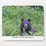 Bear Eating His Veggies Mouse Pad