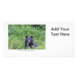 Bear Eating His Veggies Customized Photo Card