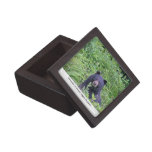 Bear Eating His Veggies Premium Jewelry Boxes