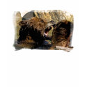 Bear Fight T-Shirt by buffaloworks Bear Fight T-Shirt