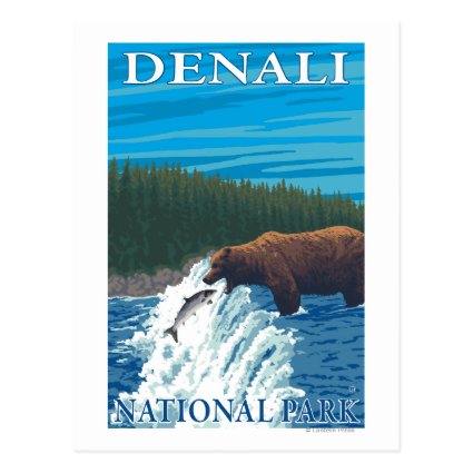 Bear Fishing in River - Denali National Park, Post Cards