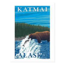 Bear Fishing in River - Katmai, Alaska Postcard