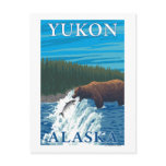 Bear Fishing in River - Yukon, Alaska Post Cards