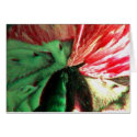 BEAR-FLAIR cards by rainbow4550 BEAR-FLAIR cards