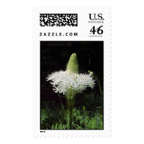 Bear Grass near Ape Cave Road postage