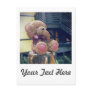 Bear Greeting Postcards
