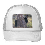 bear hats
