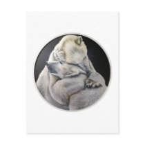 Bear Hug Postcard