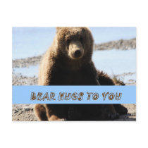 Bear Hugs to you Brown Bear cub Alaska Postcard