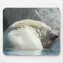 Bear II mousepads