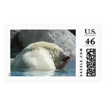 Bear II postage by REDINARD Bear II postage