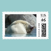Bear II postage