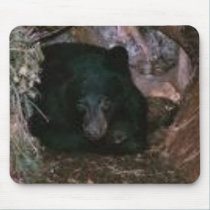 bear in a hole mousepads