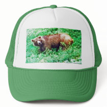 Bear in Alaska, on hat