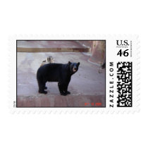 Bear in Baton Rouge Postage Stamp