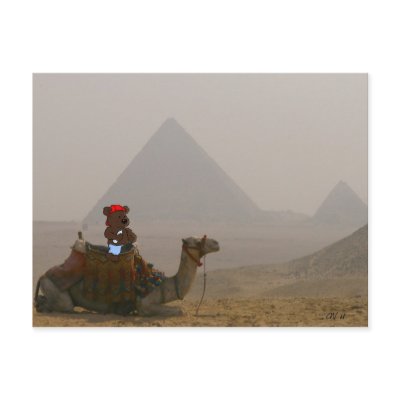 'Bear in Egypt' Postcard by Articyn