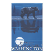 Bear in Moonlight - Olympic National Park, WA Canvas Prints