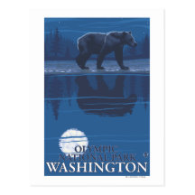 Bear in Moonlight - Olympic National Park, WA Post Card