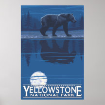 Bear in Moonlight - Yellowstone National Park Posters