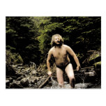 Bear in the Stream Postcard