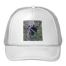 bear mesh hats