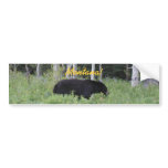 Bear Montana Bumper Sticker