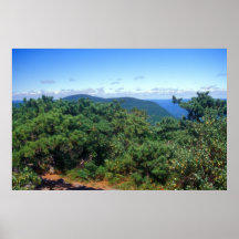 Bear Mountain Pitch Pines Posters