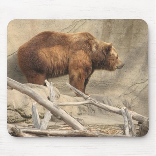 Bear Mouse Pad Zazzle