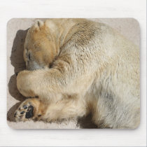 Bear mousepads