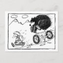 bear on bike postcard